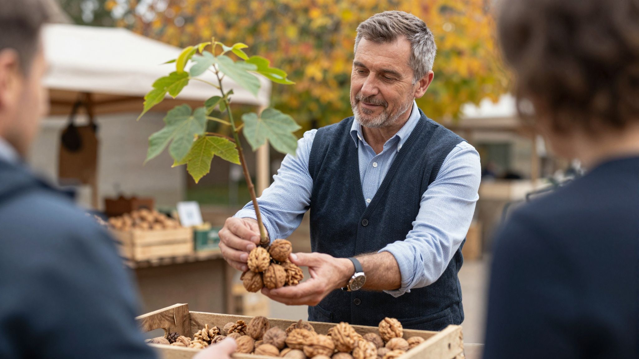 A diófa eladása álomban az elengedés és az új kezdet misztikus jelképe, rejtett érzelmek felszabadulását hozza.