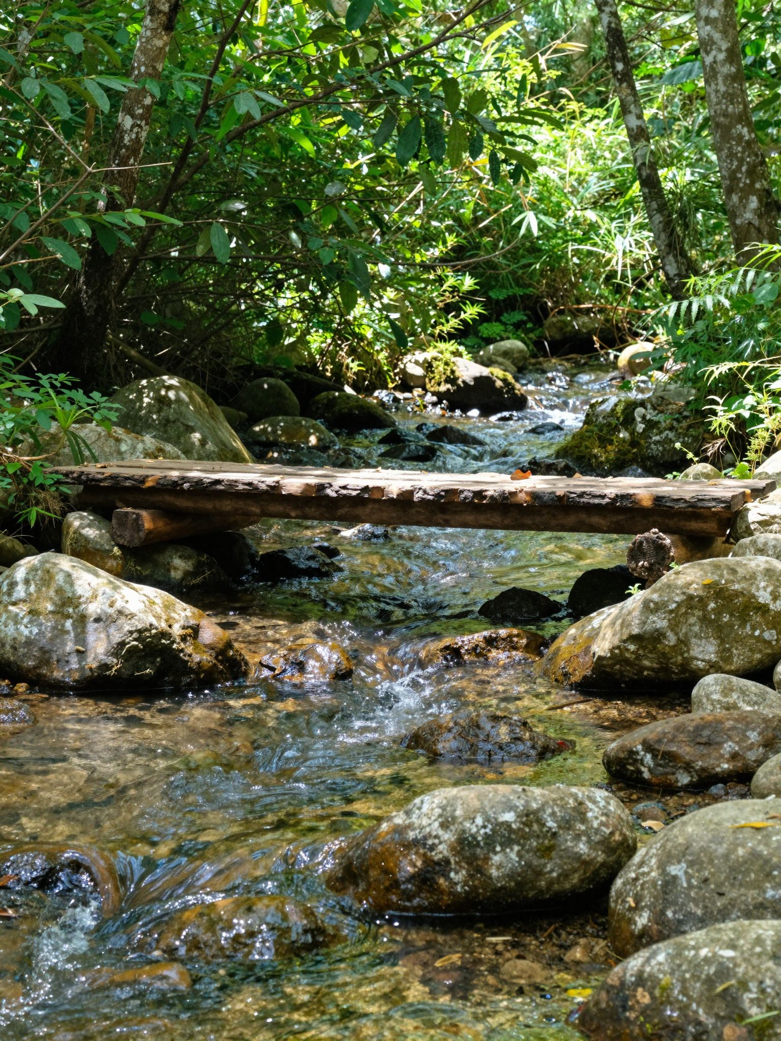 Az átkelés egy patakon álomban a lélek tisztulását és új kezdetek misztikus kapuját jelzi.