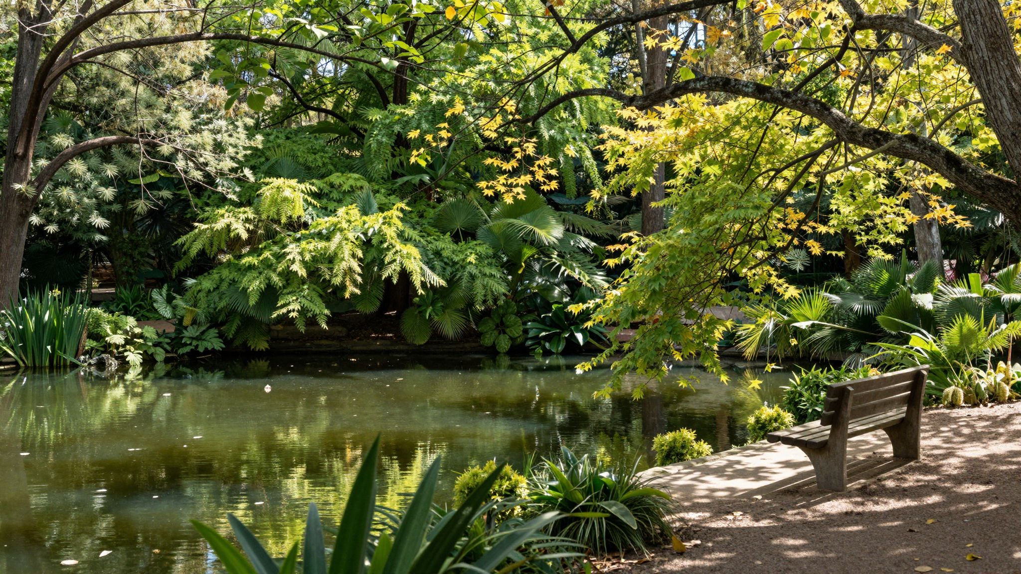 Az arborétum mély titkok kertje, ahol a lélek susogó lombok között megtalálja belső békéjét és harmóniáját.