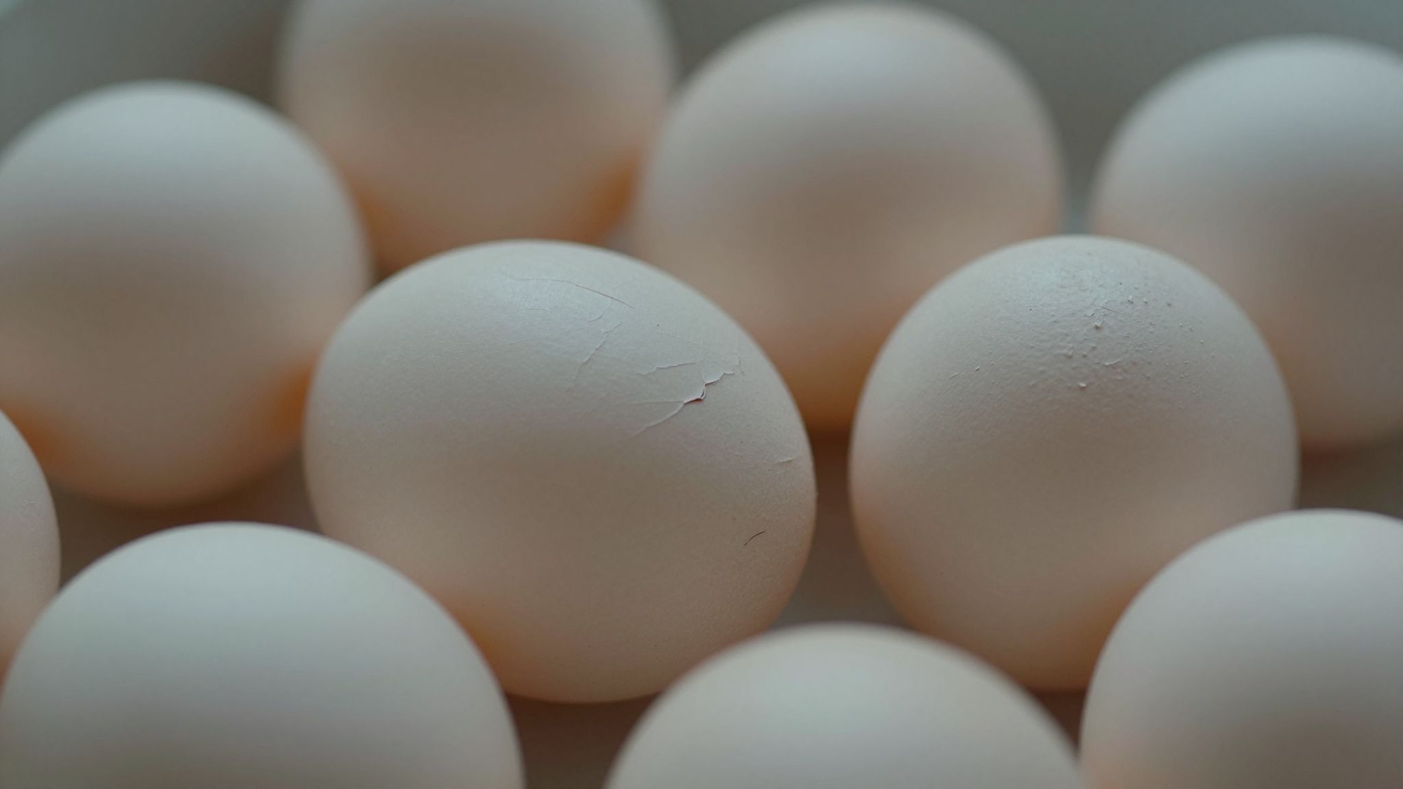 Beteg, sérült petékkel álmodni a lélek törékenységét és az új kezdet reményének árnyékát hordozza magában.