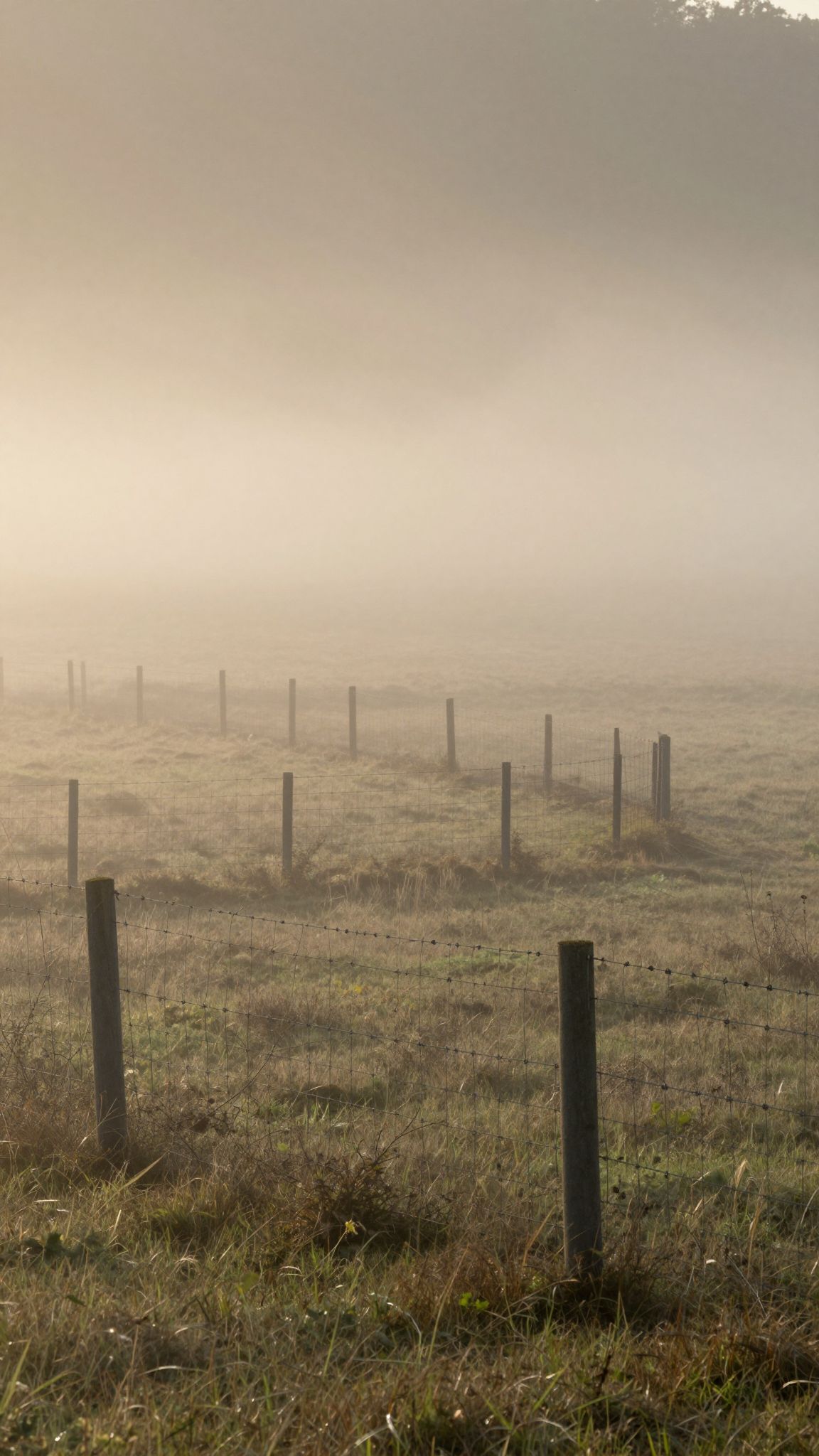 A drótkerítés álomban elzárkózás és belső korlátok szimbóluma, mely titkos félelmeket őriz mélyen.