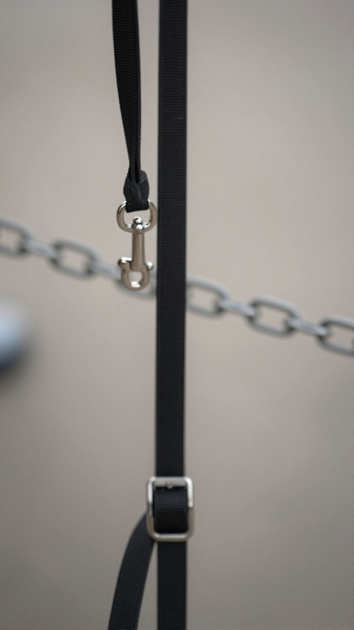 A póráz álmok elengedhetetlen üzeneteket rejtenek, segítenek megérteni belső kötöttségeink titkos világát.