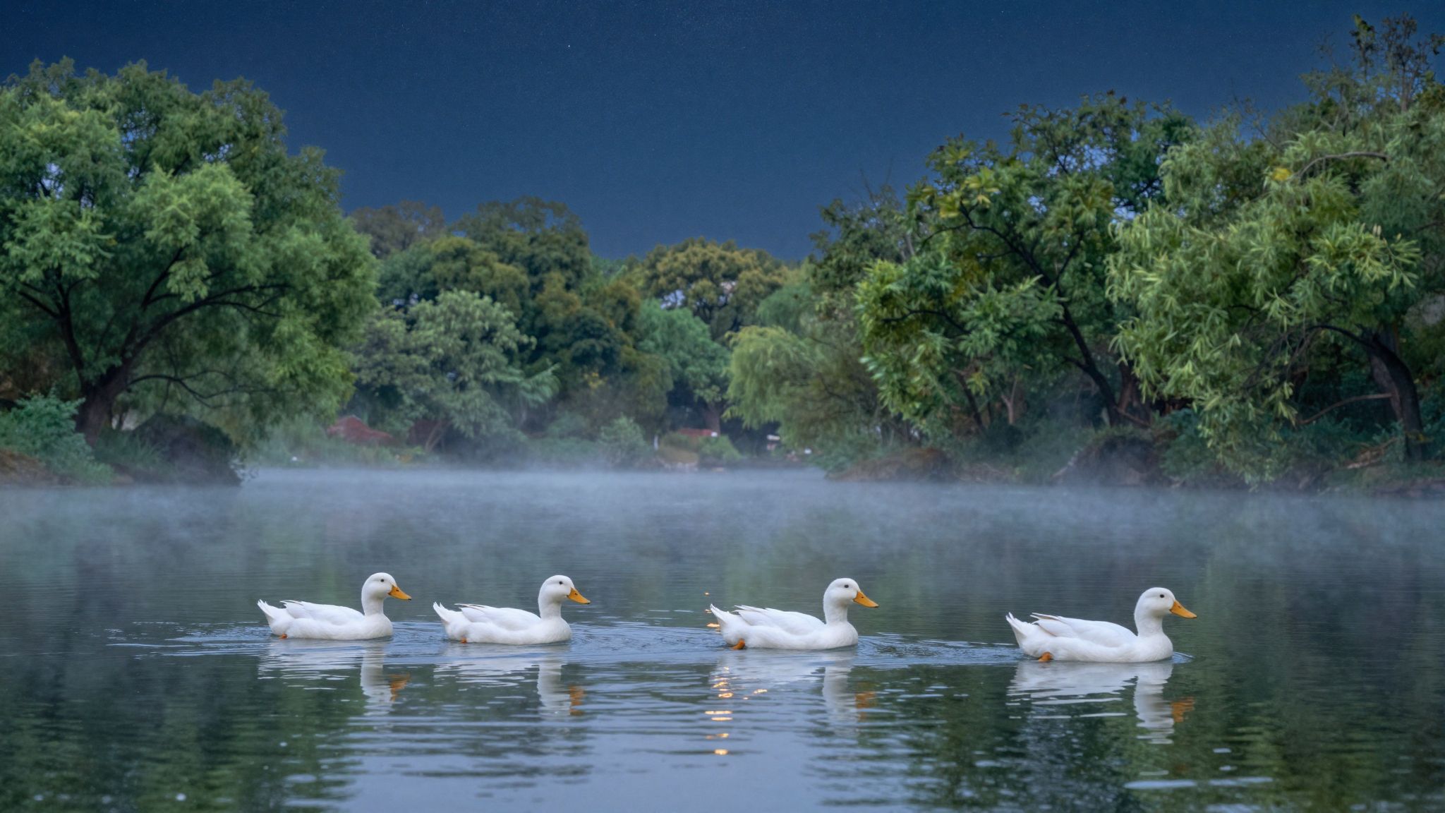 Az arany paták álomban a gazdagság és a boldogság ígéretét hordozzák, varázslatos utazásra hívva a tudatalattid.