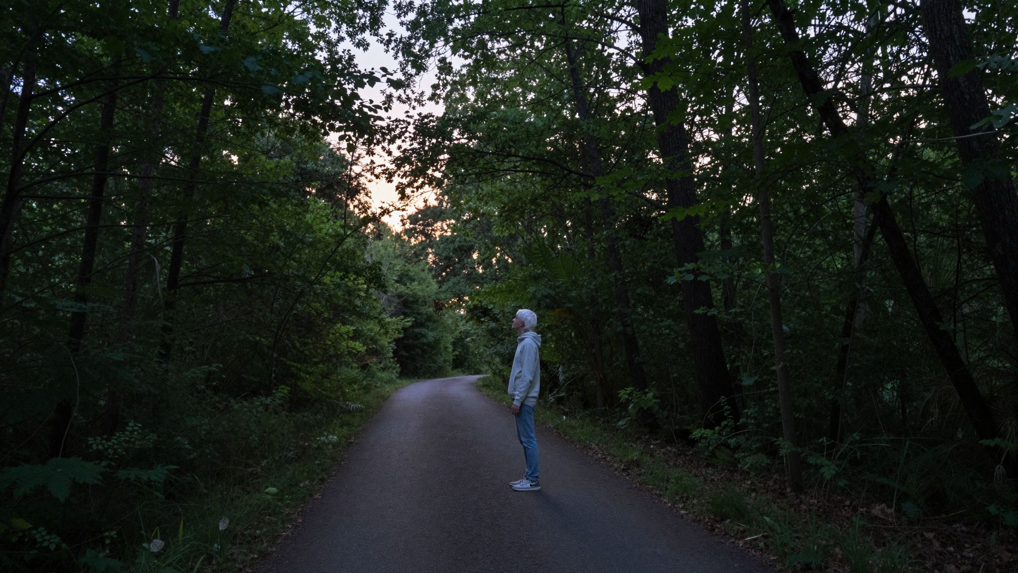 Az erdő álomban a rejtett vágyakat, félelmeket tükrözi, mély titkokkal csalogatva a tudatalattink mélyére.